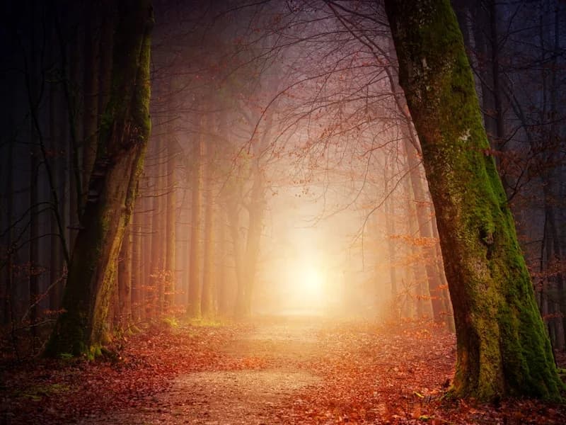 Explore Themed Worlds